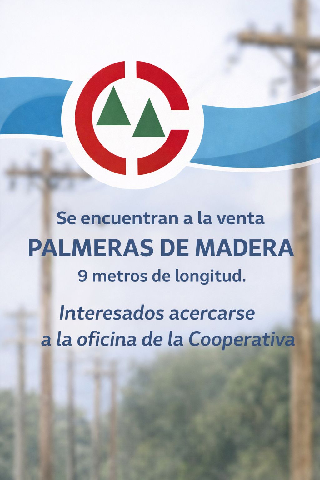 Venta de Palmeras